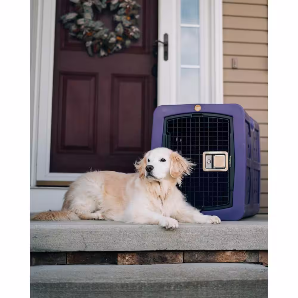 DAKOTA 283 Dakota Framed Door Medium Purple Kennel