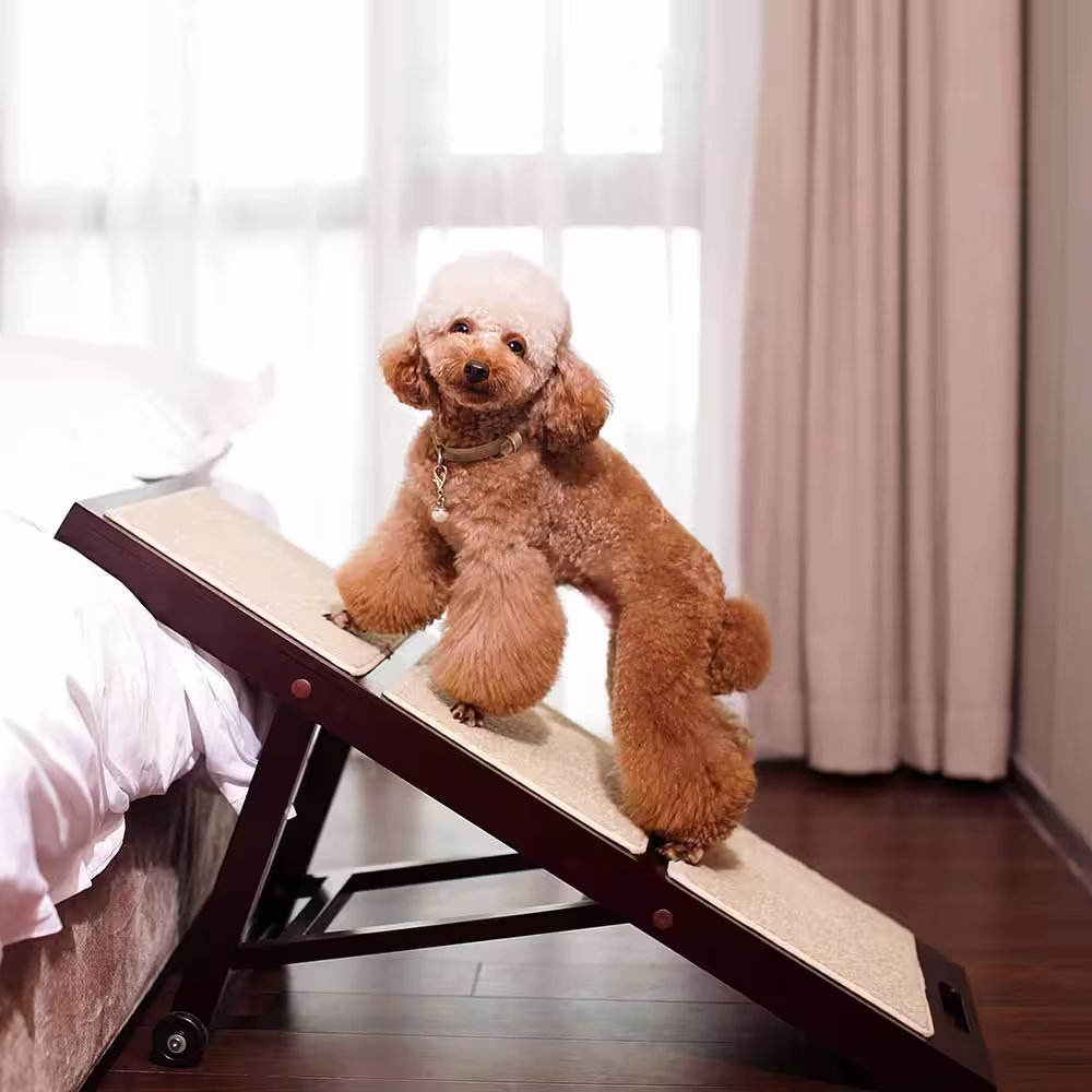 zoovilla Espresso Collapsible Pet Ramp