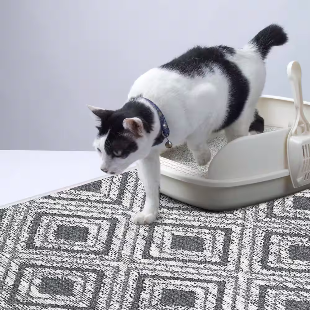 SUSSEXHOME 2 ft. x 4 ft. Mat Cat and Dog Litter Mat for Litter Box