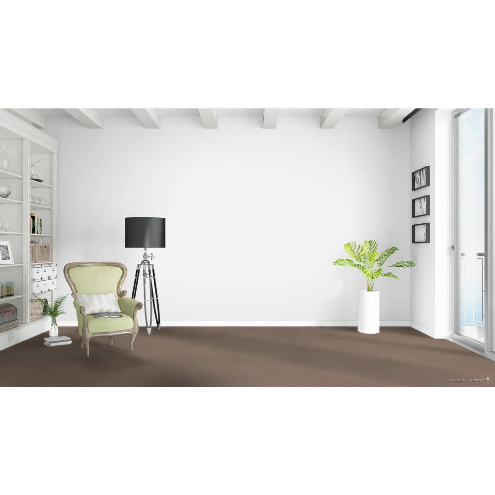 Home Decorators Collection Delicate Flower  - Fresh - Brown 40 oz. SD Polyester Texture Installed Carpet