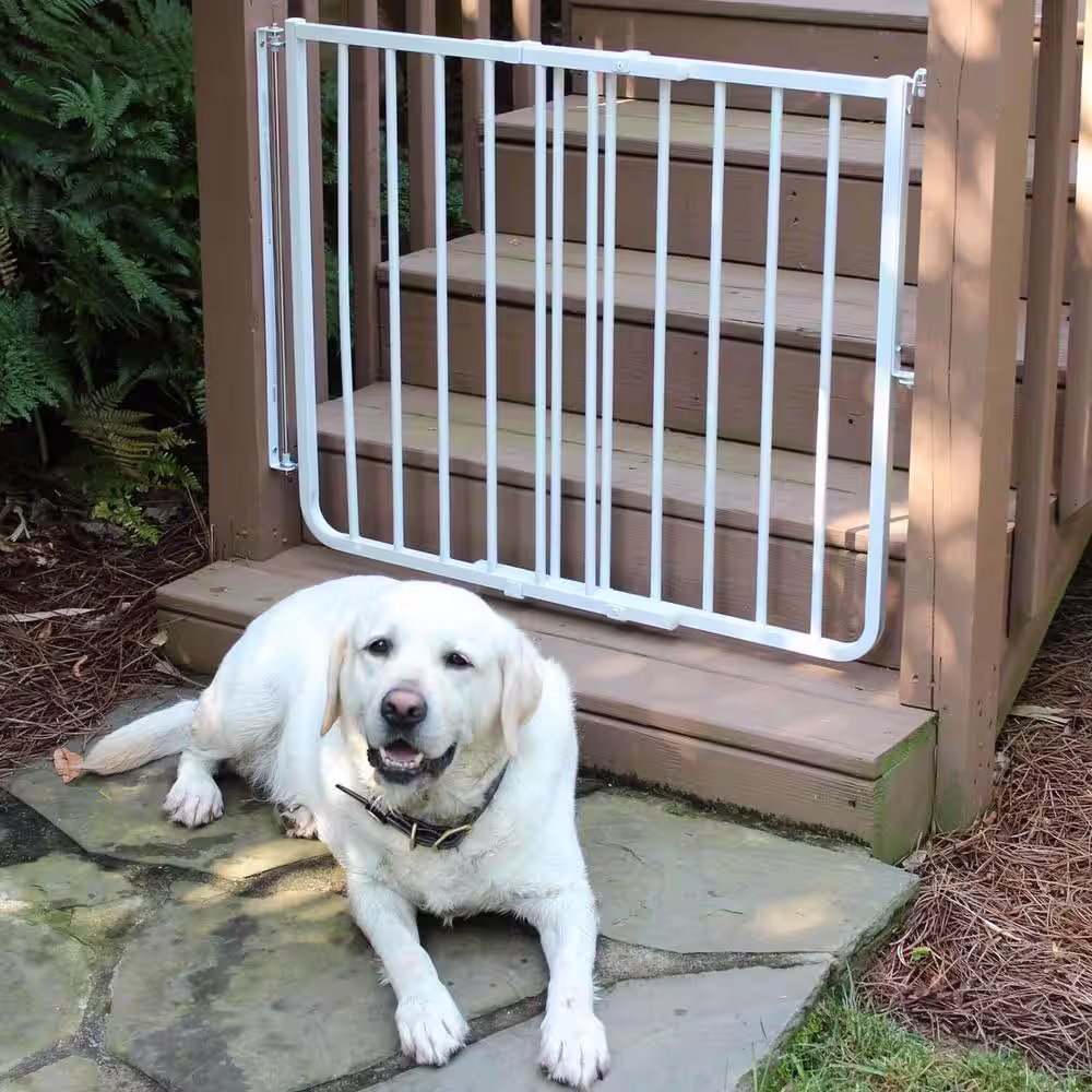 Cardinal Gates 30 in. H x 27 in. to 42.5 in. W x 2 in. D Stairway Special Outdoor Safety Gate in White