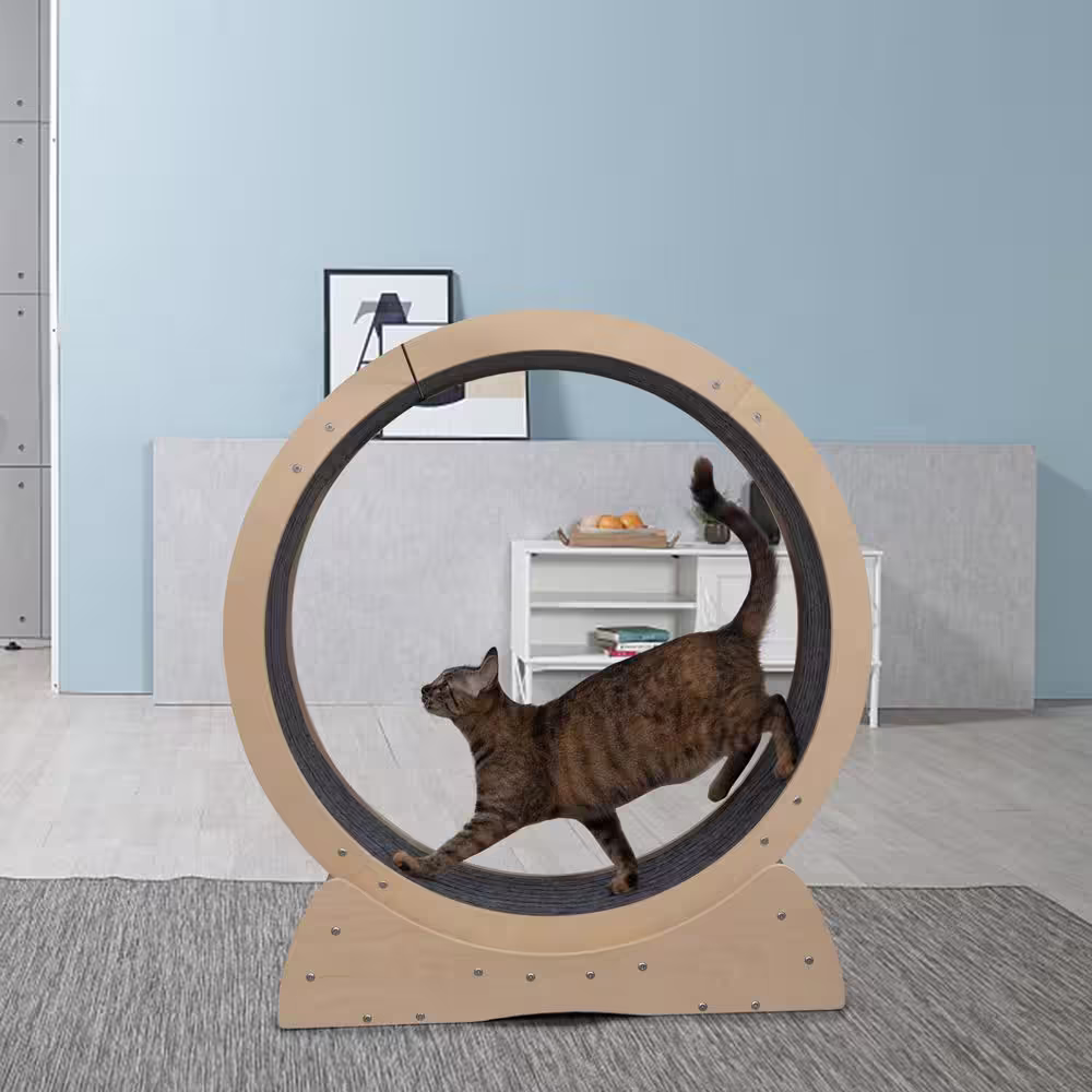 COZIWOW Cat Treadmill Exercise Wheel, Mute Pulley
