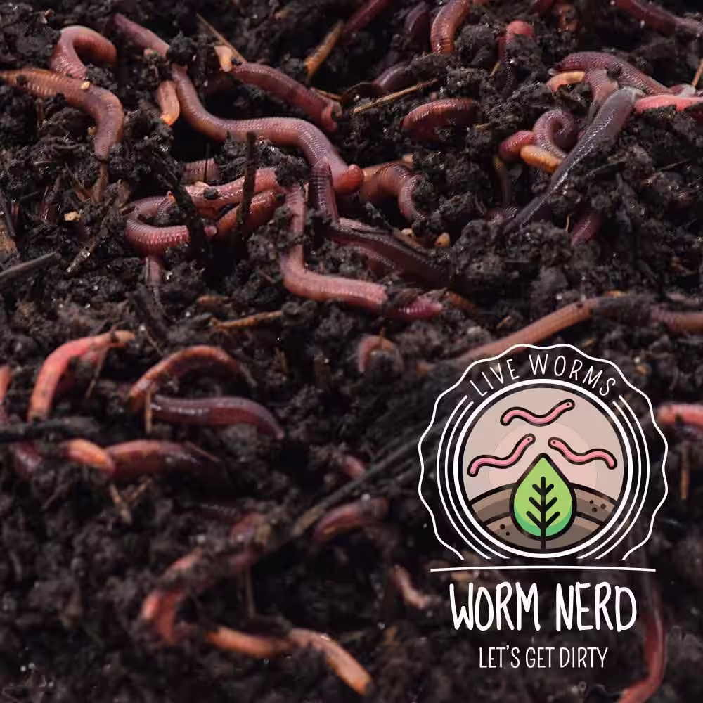 Arcadia Garden Products Worm Nerd Live Composting Worm Mix (1000 Worms)