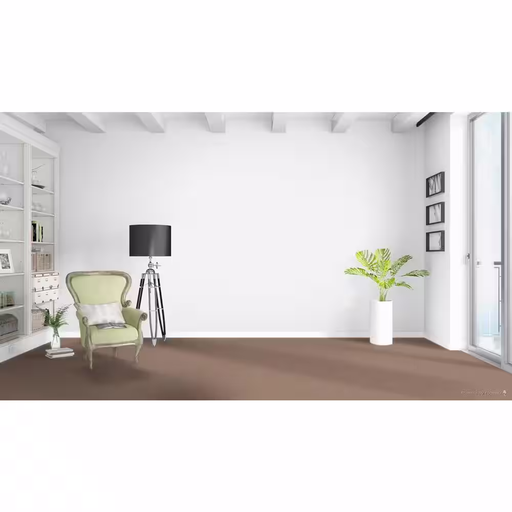 Home Decorators Collection Stargazer  - Mystic - Beige 32 oz. SD Polyester Texture Installed Carpet
