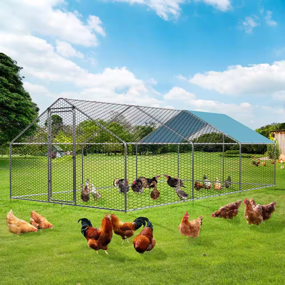 None Large Metal Chicken Coop Run for 15/25 Chickens,Walk-in Chicken Runs for Yard with Waterproof Cover, Duck Coop/Dog House