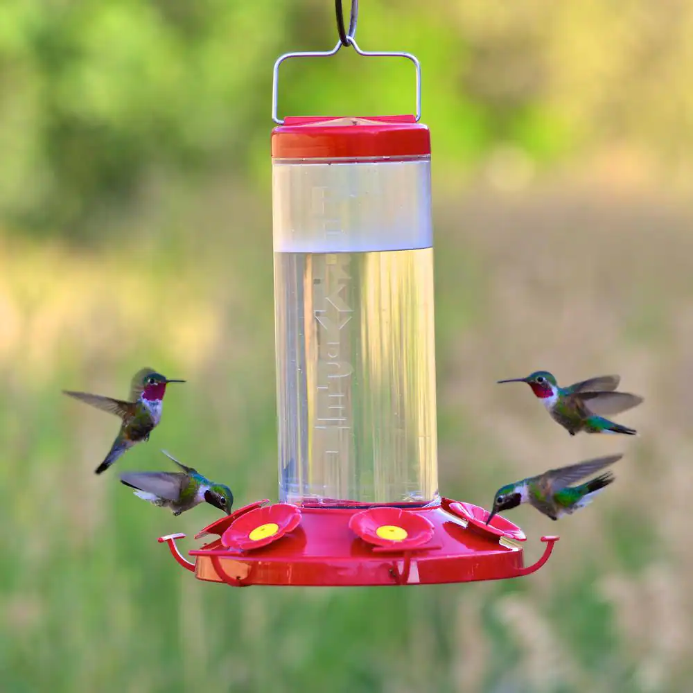 Perky-Pet Grand Master Plastic Hummingbird Feeder - 48 oz. Capacity