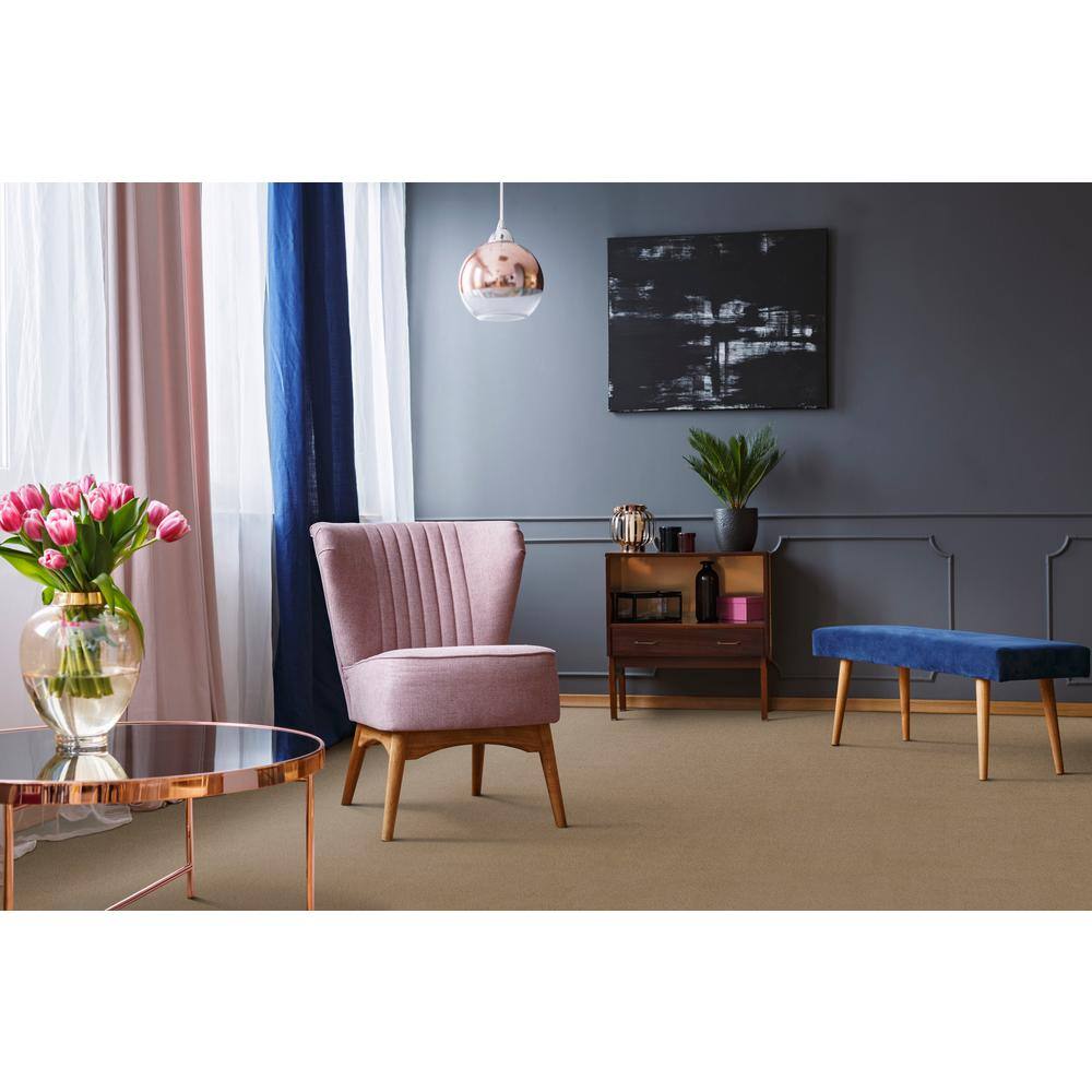 Home Decorators Collection Adalida - River Rock - Beige 40 oz. SD Polyester Pattern Installed Carpet