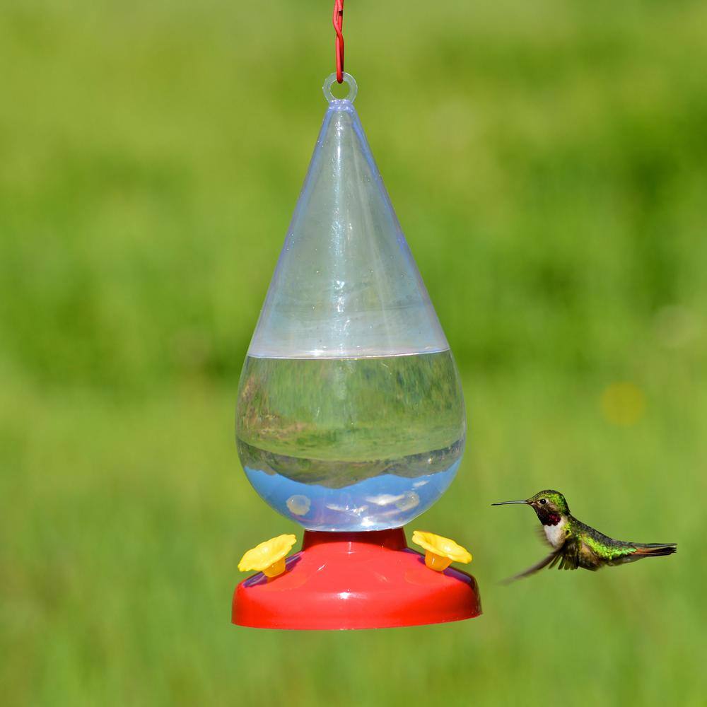 Perky-Pet Dew Drop Plastic Hummingbird Feeder - 32 oz. Capacity