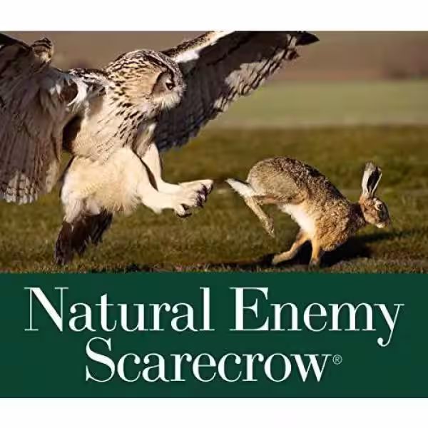 Gardeneer Great Horned Owl