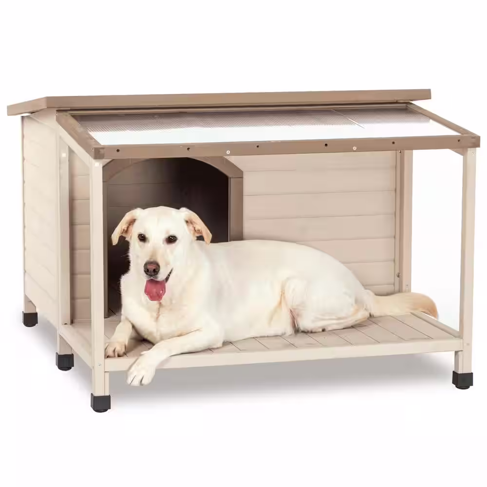 None Outdoor Wood Dog House with Open Roof Large Terrace with Clear Roof Weatherproof Asphalt Roof and Treated Wood in Beige