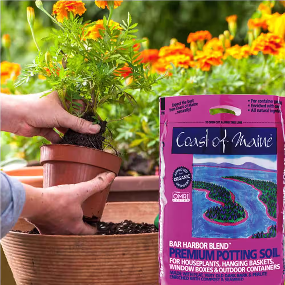 None Bar Harbor Blend Organic Potting Soil, 16 Qt. Bag (4-Pack)