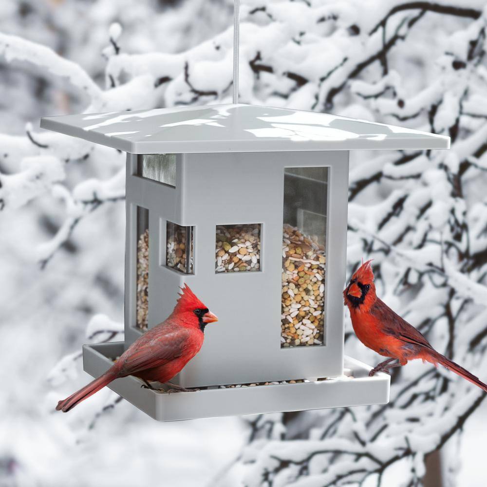 Umbra 68 oz. Cafe Hanging Bird Feeder Grey