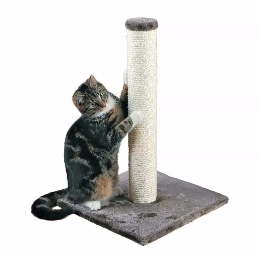 TRIXIE Parla Scratching Post, Dark Gray