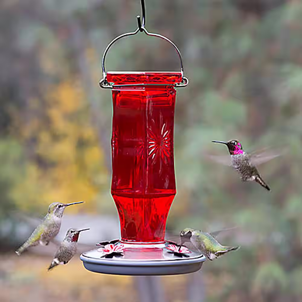 Perky-Pet Ruby Starburst Decorative Glass Hummingbird Feeder - 16 oz. Capacity