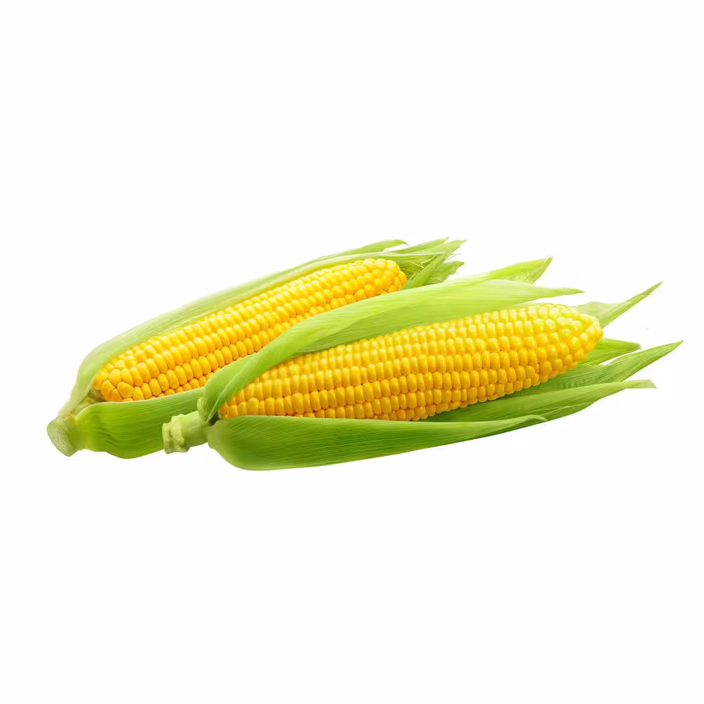 Maze 14.3 Gal. Corn Bags (120-Count)