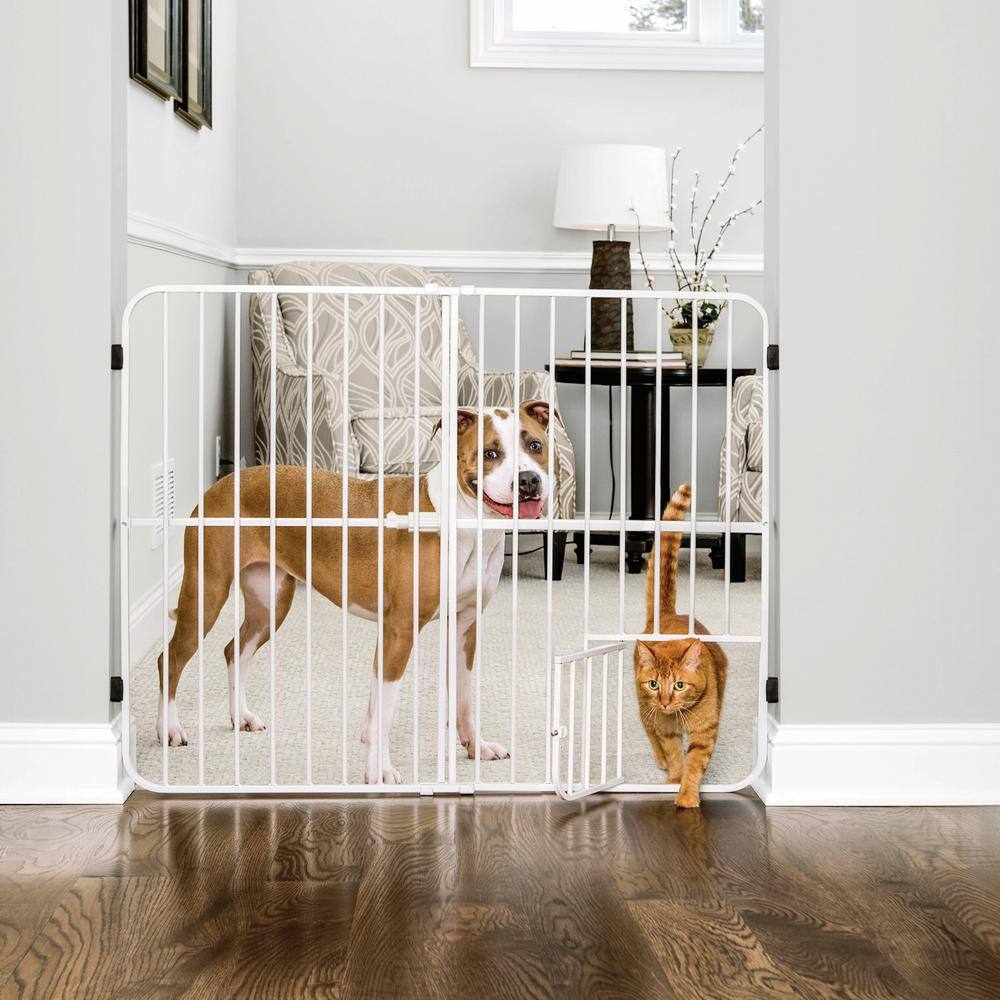 None Carlson 32 in. Big Tuffy Expandable Pet Gate with Small Pet Door, White