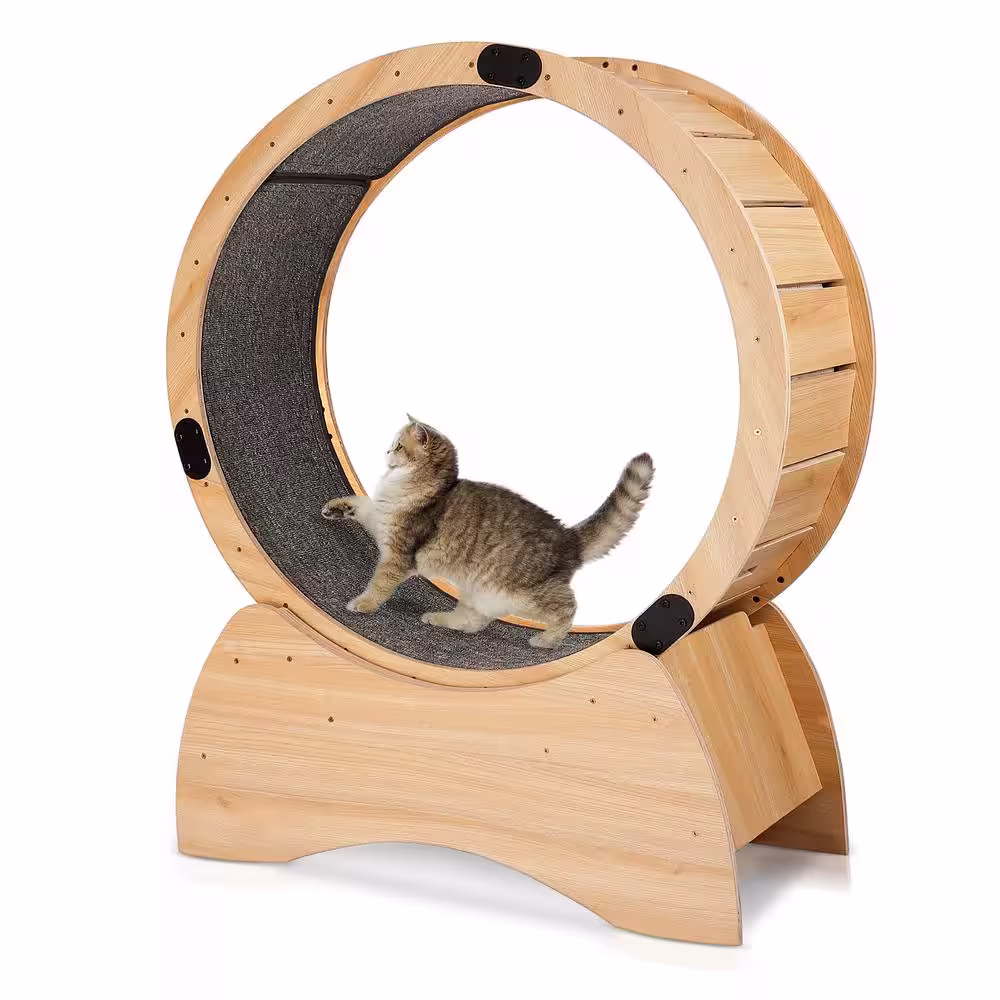None Cat Exercise Wheel Running Spinning Scratching Fun Cat Treadmill Carpeted Runway Kitty Cat Sport Toy Physical Activity