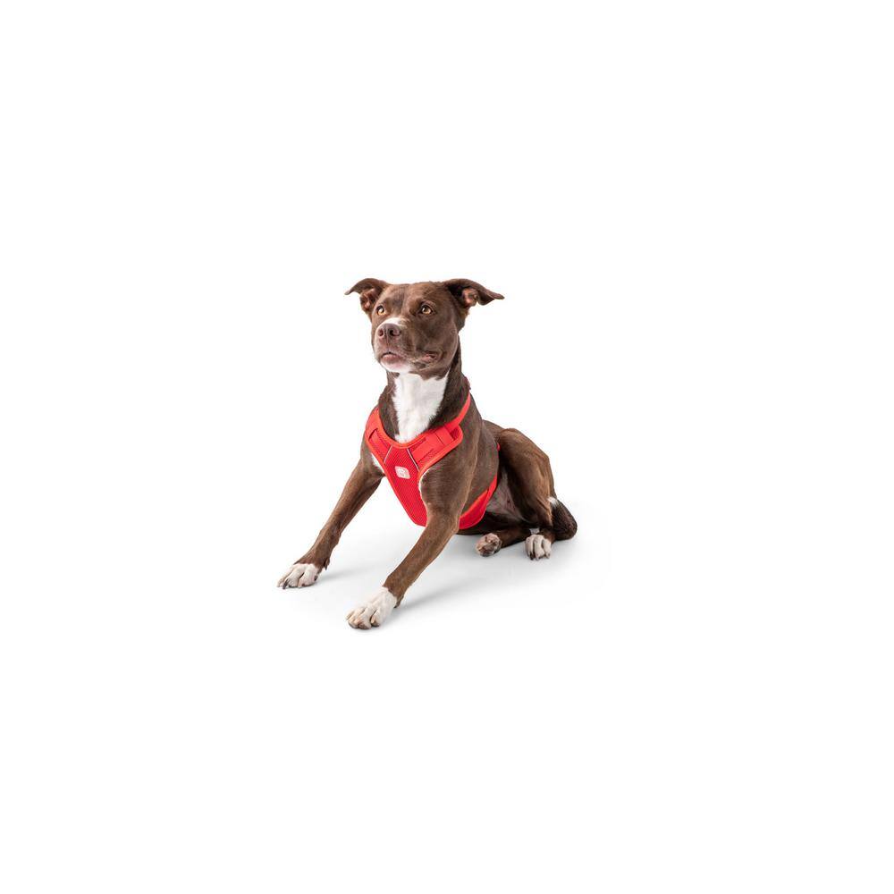 None Small Red Pet Travel Harness